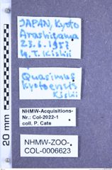 Etiketten zu Quasimus kyotoensis (Kishii, 1966) (NHMW-ZOO-COL-0006623)